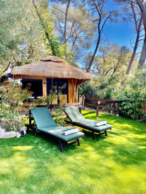 Magnifique Chalet avec jacuzzi 2P Mougins